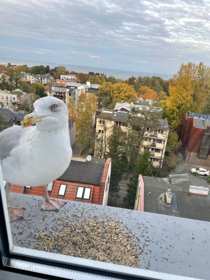 Karlikowska Z Widokiem Na Morze * Zoppot