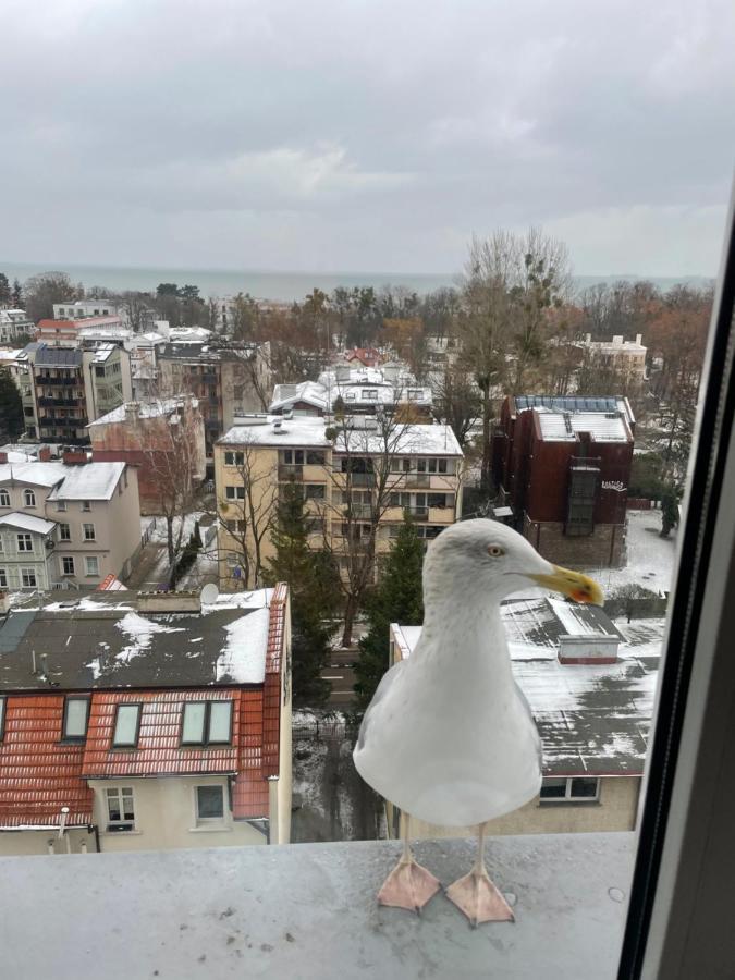 Karlikowska Z Widokiem Na Morze Apartment