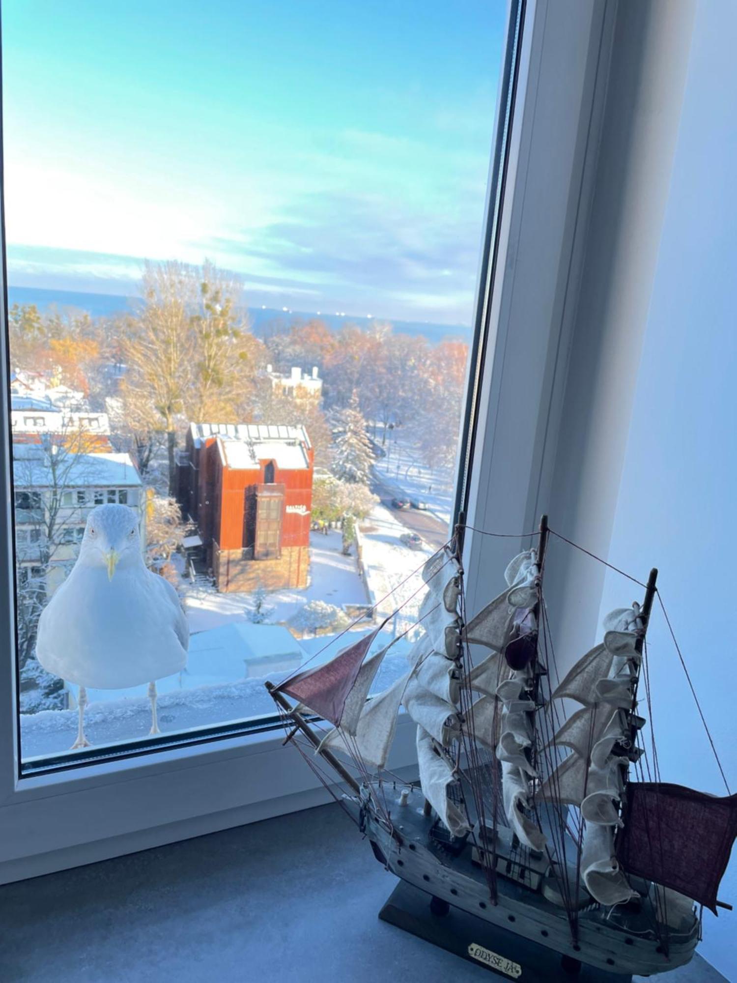 Apartment Karlikowska Z Widokiem Na Morze Zoppot